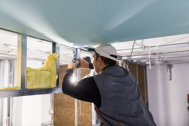 Best Types of Insulation in Reedurban, OH
